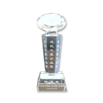 2007年长河镇“成长之星”