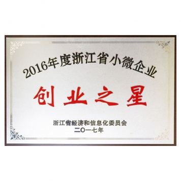 2016年度浙江省微小企业创业之星