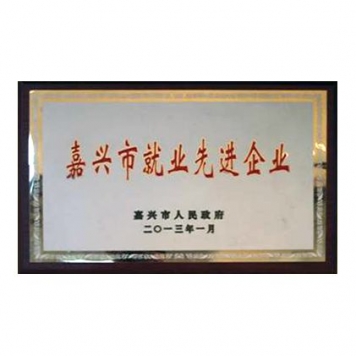 嘉兴市就业先进企业