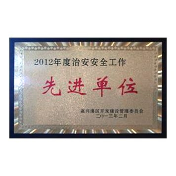 2012年度治安安保工作先进单位