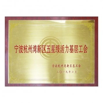 宁波杭州湾新区五星级活力基层公会